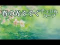 【1/fゆらぎ】心が洗われる春の木漏れ日と優しい音楽【チェロ・ハープ】Spring Sunlight & Gentle Music