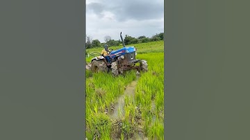 Powertrac 4wd tractor working in mud #shorts #trending #tractor