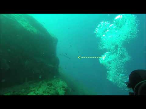 Scuba Diving at