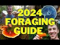 2024 foraging guide to edible mushrooms  plants