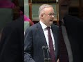 Prime Minister Anthony Albanese calls the opposition 'delulu with no solulu' in debate after budget