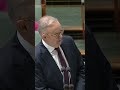 Prime Minister Anthony Albanese calls the opposition 'delulu with no solulu' in debate after budget