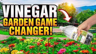 Unleash the Power of Vinegar in Your Garden - Green Thumb Hacks Revealed!