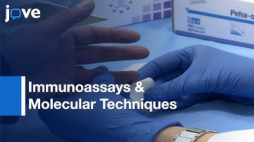 Dried Blood Spots -Preparing & Processing: Immunoassays & In Molecular Techniques l Protocol Preview