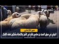 مراكش الحولي في سوق السبت بن ساسي طايح في الثمن والكسابة يشتكون ضعف الإقبال مراكش الحولي في سوق السبت بن ساسي طايح في الثمن والكسابة يشتكون ضعف الإقبال