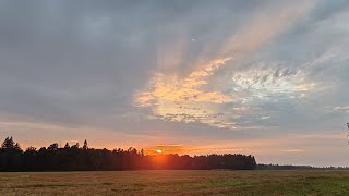 видео: Охота с гладким на оленя и косулю картинка: Охота с гладким на оленя и косулю