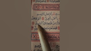 #قران_كريم  سورة ✨ الفيل #قرانكريم