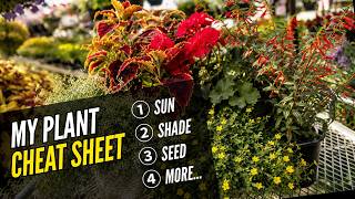 Easiest Annuals to Grow (Plus a Free Cheat Sheet)