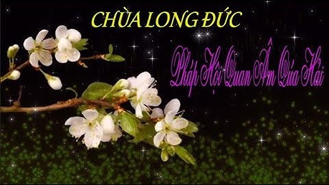 PHÁP HỘI QUAN ÂM QUÁ HẢI-TẠI CHÙA LONG ĐỨC-THỊ XÃ GÒ CÔNG-TỈNH TIỀN GIANG.Phần 7