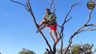 Idiots With Chainsaws: Tree Cutting Fails | Extreme Dangerous Logging Truck Fails #10