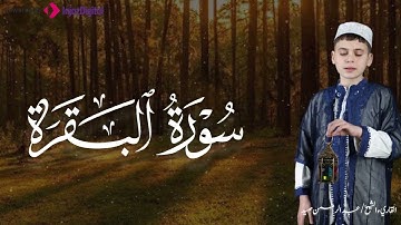 تلاوة مؤثرة للقارئ عبدالرحمن صيد .. سورة البقرة