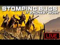 🔴 Minor Order Diving - STOMPING BUGS | Helldivers 2