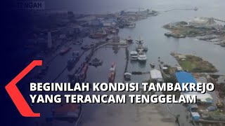 Pesisir Kota Semarang Terancam Tenggelam Air Laut Membuat Akses Jalan 1700 Jiwa Terputus