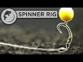 How To Tie The Spinner or Ronnie Rig For Carp Fishing