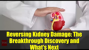 Reversing Kidney Damage: The Breakthrough Discovery and What