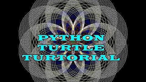 Hướng dẫn sử dụng thư viện Turtle trong Python từ A-Z