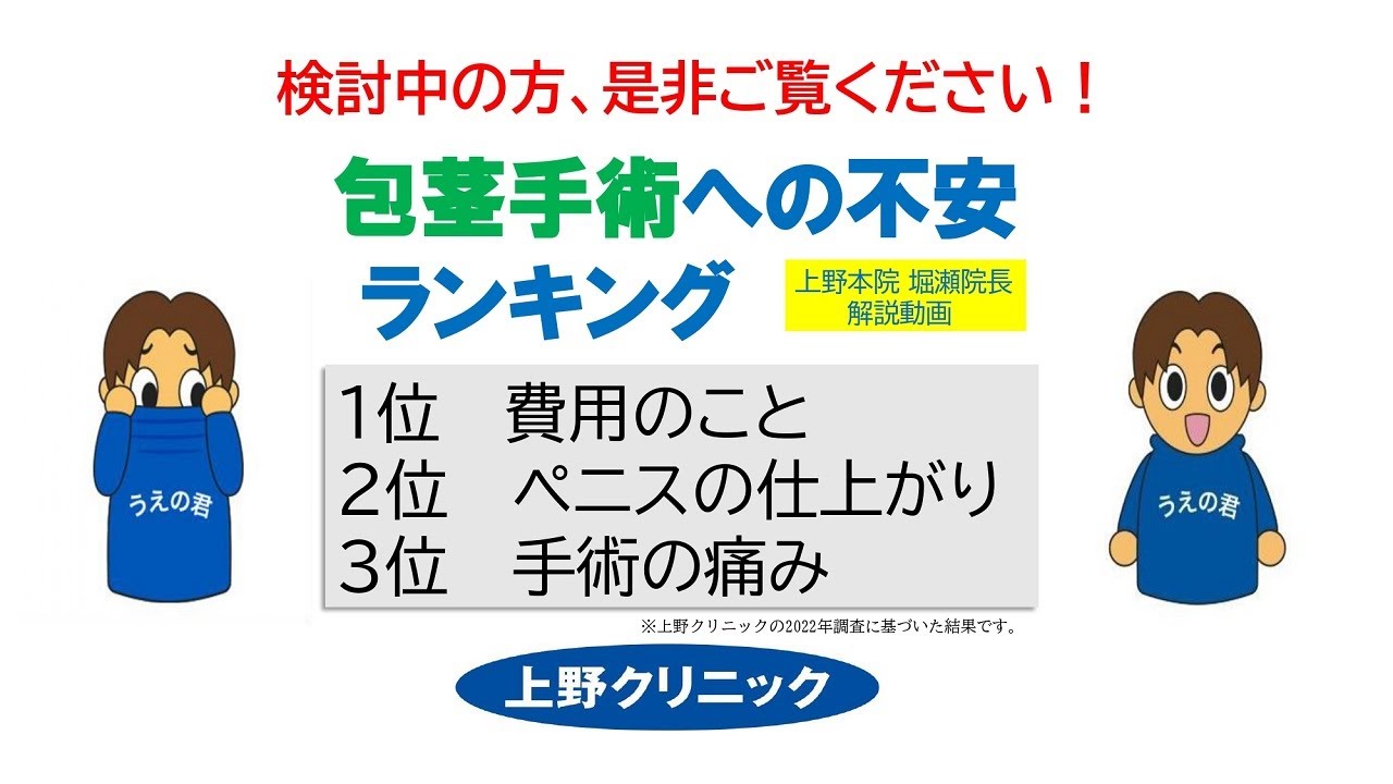 絶版人気★マクラーレンF1 GTRルマン★1/18上野クリニック