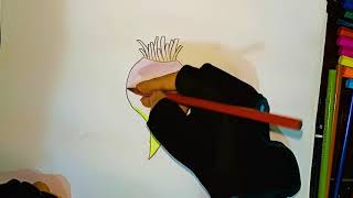 كيفية رسم فجل للمبتدئين خطوة بخطوة I how to Draw a Radish step by step