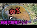 山奥の沼地で激レア生物を探す！沼ガサガサ#1