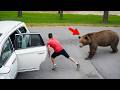 Wild Animals Invade Cities Caught on Camera ๐พ