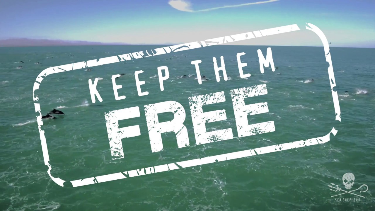 Where Does Your Entertainment Come From? - YouTube