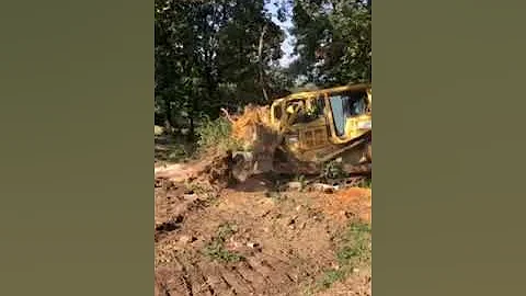 5300 - 1999 Caterpillar D6R Dozer for sale