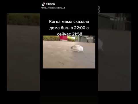 КОГДА МАМА СКАЗАЛА БЫТЬ ДОМА В 22:00 а уже 21:58 #shorts