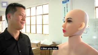Chinese company WMDOLL develops AI-powered 'smart dolls(romantic doll)