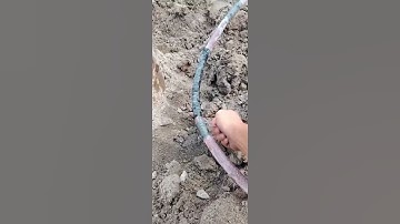 Cách tận dụng nước dây bơm thủng hiệu quả