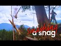 Smashing Danger Trees | Vintage float plane | Heli Logging