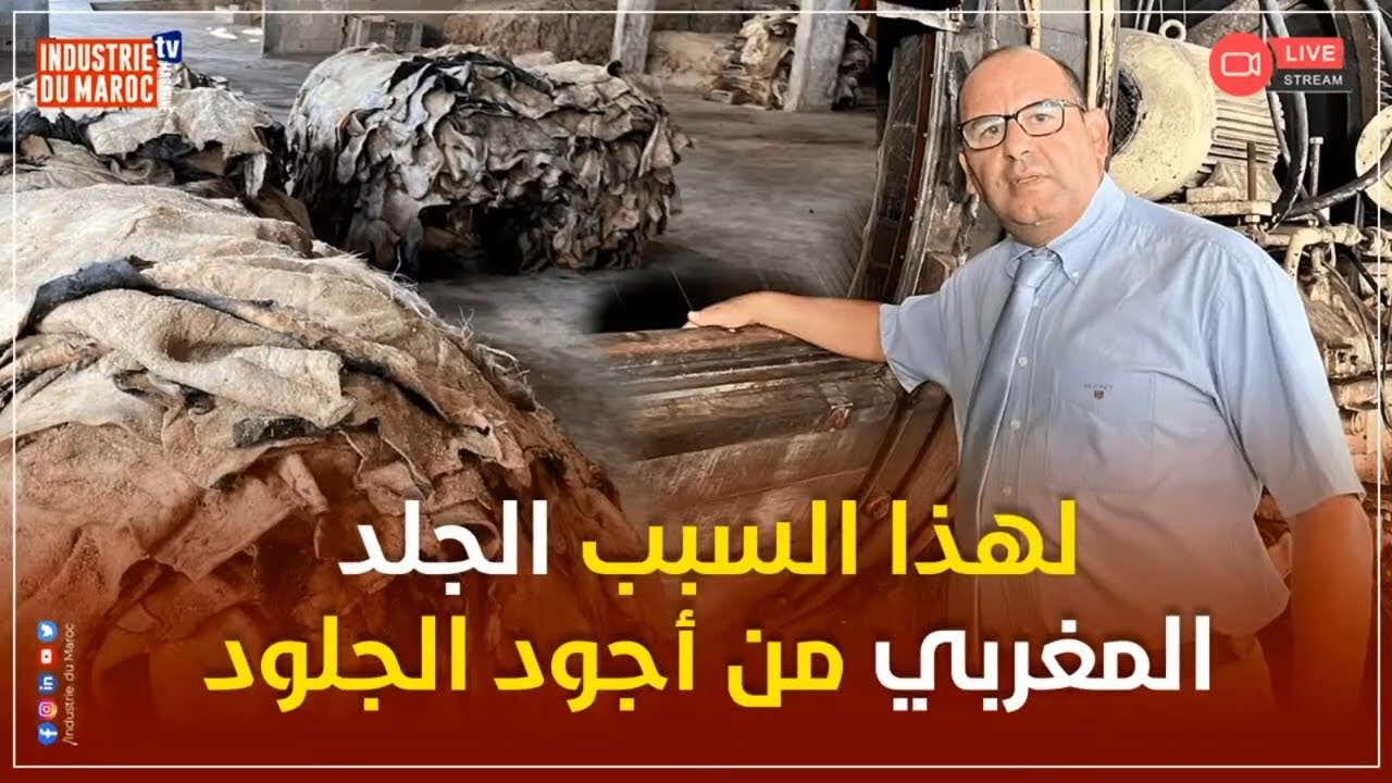 لهذا السبب الجلد المغربي من أجود الجلود