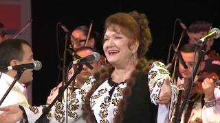 Zinaida Julea - I auzi toba bate bate la #potcoavadeaur