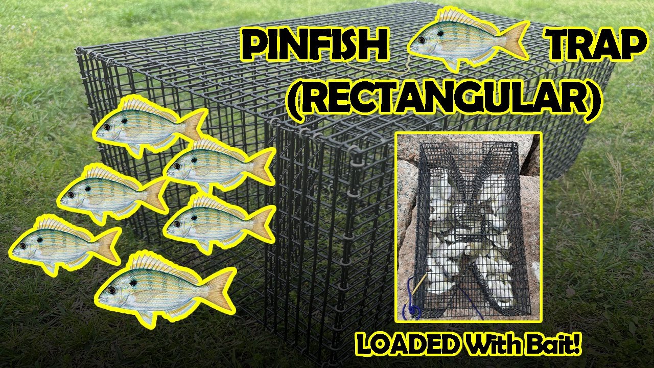 Pinfish Trap (Rectangle Style) – Reel Texas Outdoors