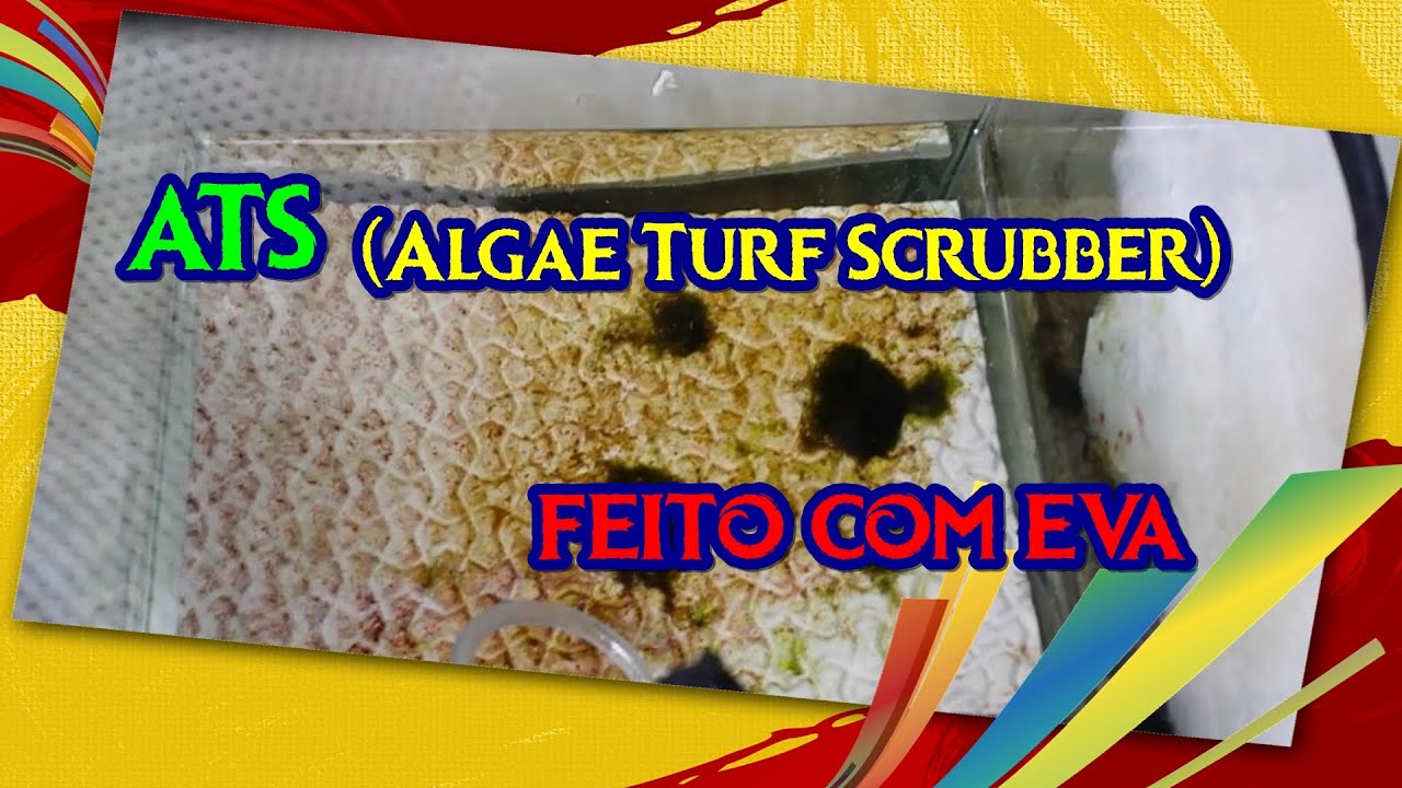 Filtro de Algas ATS feito com EVA - ( Algae Turf Scrubber) - YouTube