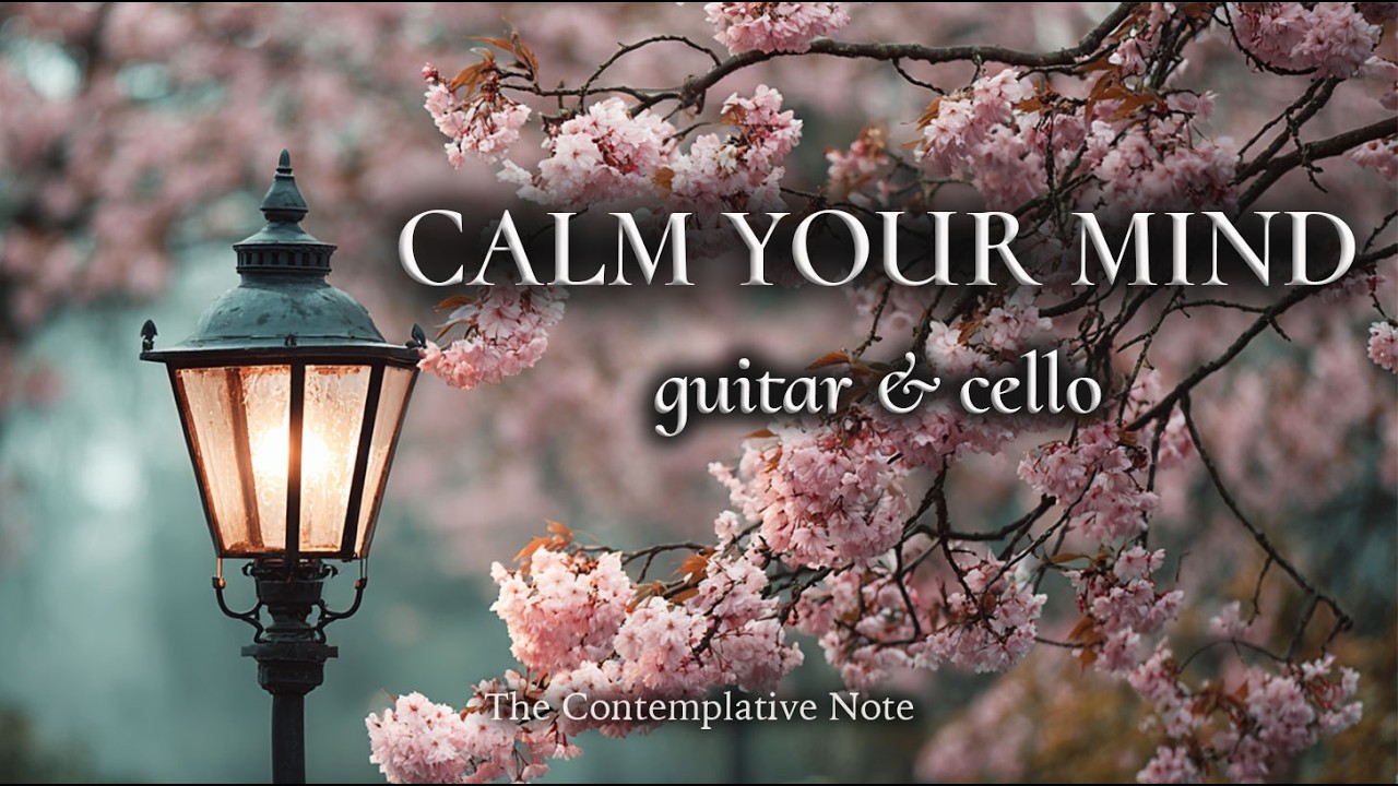 Clean Spring Music Spring’s Soft Glow 🌸 Peaceful Acoustic Music for Stress Relief - YouTube