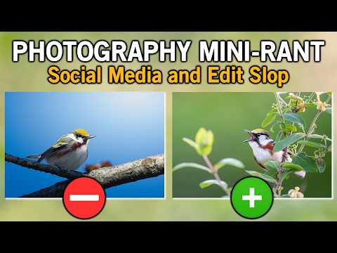 Rant on Social Media Edit for Dummies
