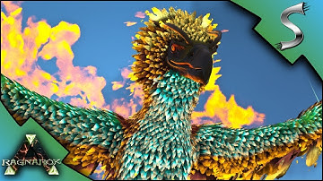 PHOENIX TAMING! PHOENIX