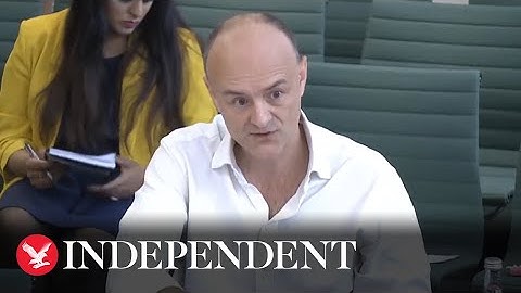 The biggest claims from Dominic Cummings