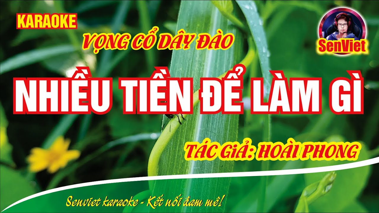 karaoke tiền nhiều để làm gì