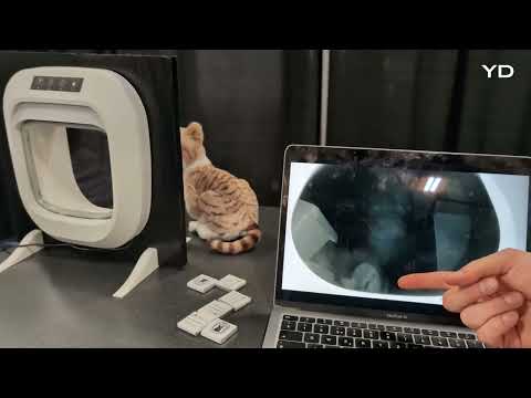 'Flappie' AI-powered cat door debuted at CES 2024