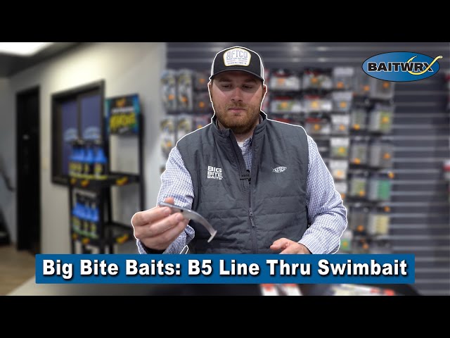 Big Bite Baits B5 Line Thru Swimbait