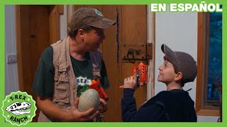 Protegemos los huevos de dinosaurio | Videos de dinosaurios y juguetes para niños 🦖