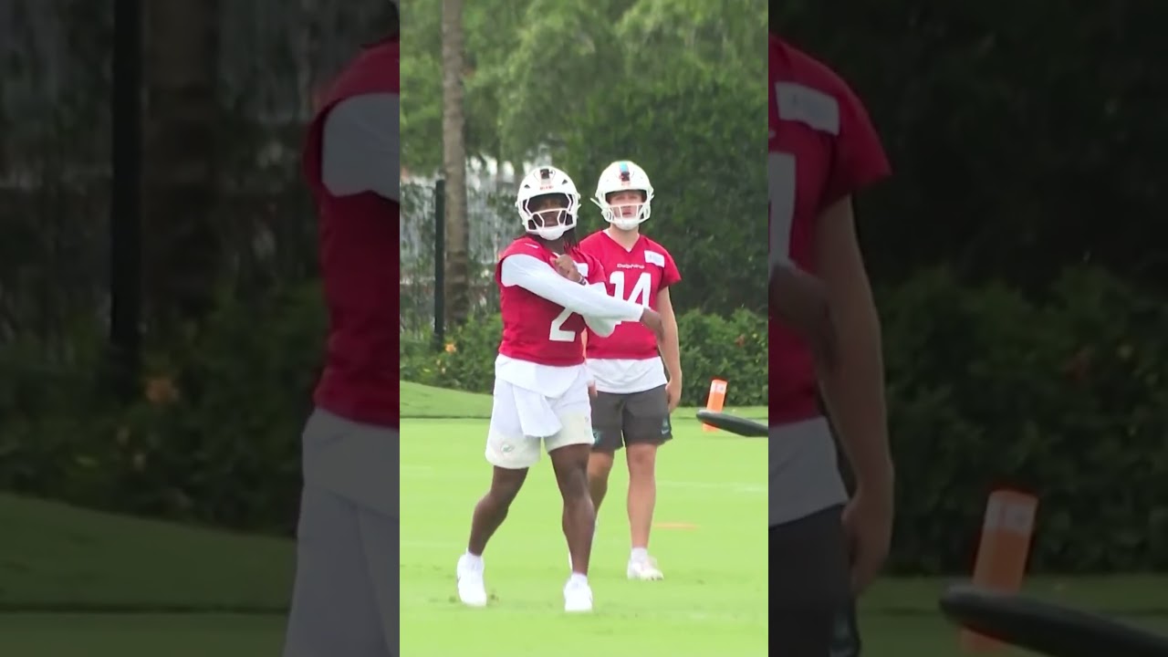 FIRST LOOK! Highlights Of New Miami Dolphins QB Malik Willis From OTA Drills! #nfl #football