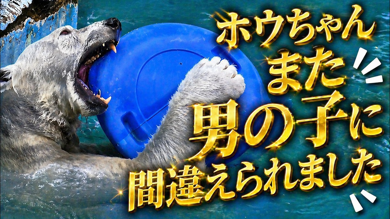 Hou-chan 💗 was mistaken for a boy again [Tennoji Zoo] - YouTube