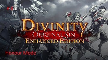 Divinity Original Sin 1 (EE) Honour Mode Walkthrough Part 8 | 4K No Commentary