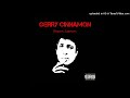 Gerry cinnamon  sometimes