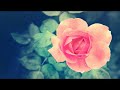 سورة الروم بصوت القارئ فالح الهاجري