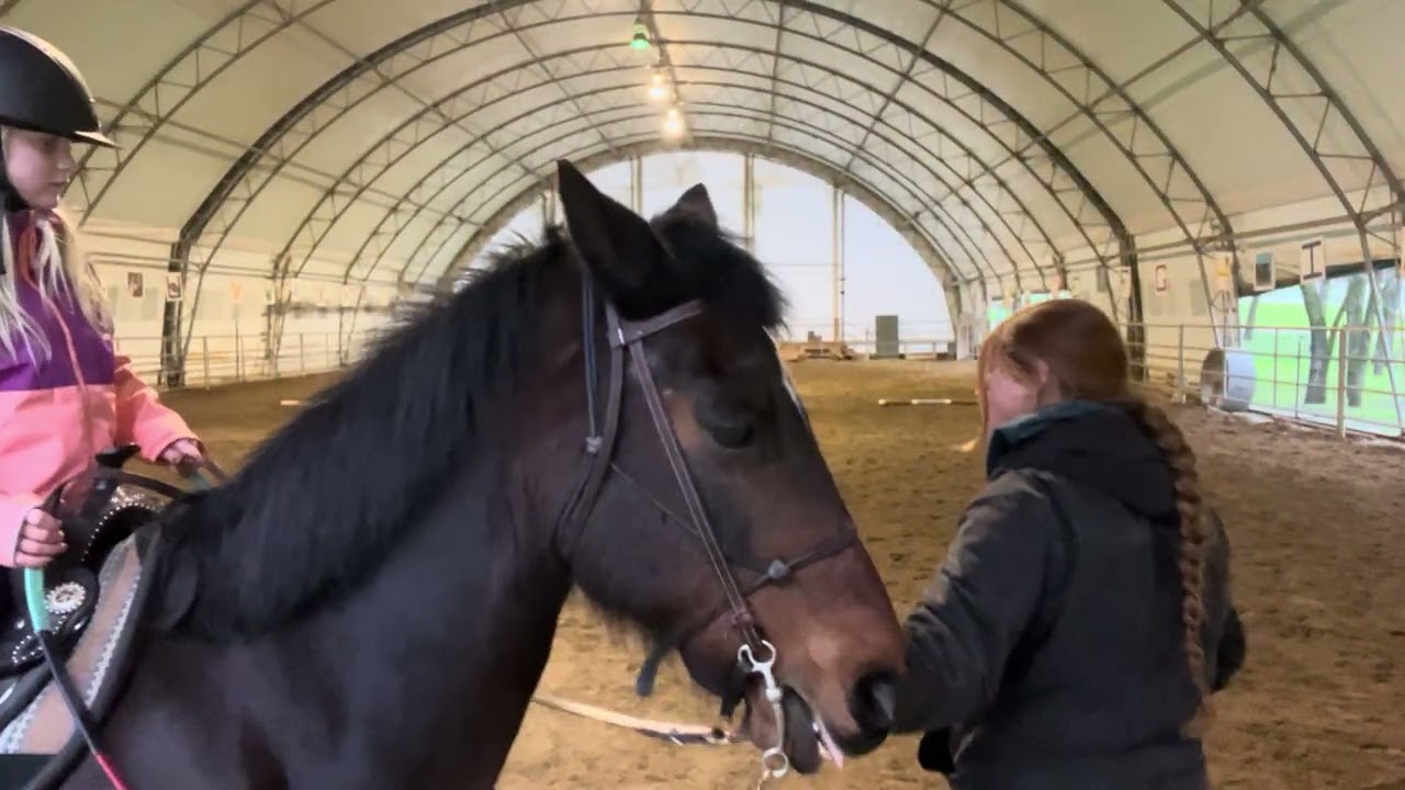 Barrel Pattern/Leg Yeild Sarah Firpo