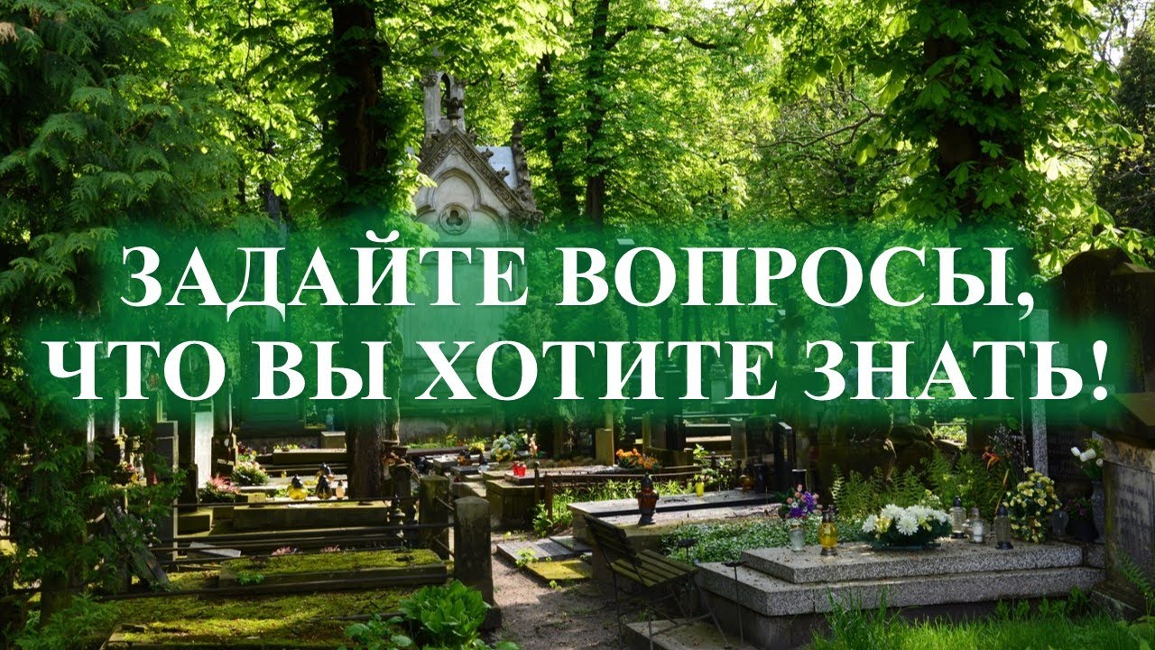 Книга ВСЕ О КЛАДБИЩЕ И МИРЕ МЕРТВЫХ - YouTube