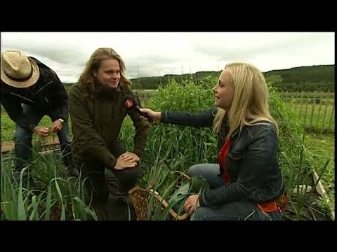 Video: Kocken José Andrés Och Hans Recept På Majskakor Med Honung